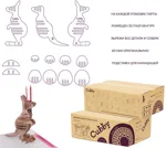 Растущая детская парта со стульчиком Cubby Karo