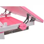 Детская парта и стул для дома Cubby Capri