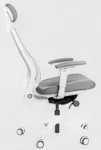 Эргономичное кресло Falto Trium