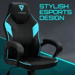 Профессиональное игровое кресло ThunderX3 EC1