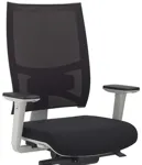 Сетчатое кресло для руководителя Sitland Fresh Air