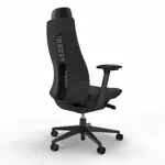 Эргономичное кресло Fern