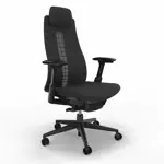 Эргономичное кресло Fern