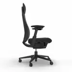 Эргономичное кресло Fern