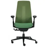 Эргономичное кресло Fern