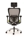 Эргономичное кресло Zody