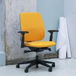 Эргономичное кресло Lively