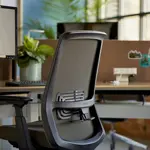 Эргономичное кресло Soji