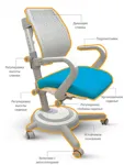 Ортопедическое детское кресло Mealux Ergoback