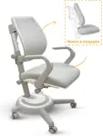 Ортопедическое детское кресло Ergokids Ergoback