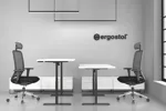 Электрорегулируемый стол Ergostol Start