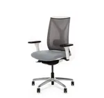 Офисное кресло Dion Mesh