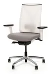 Офисное кресло Dion Mesh