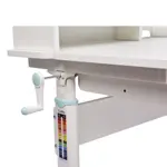 Парта-трансформер для школьника Cubby Camellia