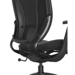 Компьютерное кресло KARNOX EMISSARY Romeo