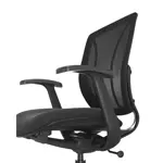 Компьютерное кресло KARNOX EMISSARY Romeo