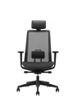 Эргономичное кресло для руководителя MILANI S-Mesh