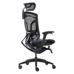 Эргономичное кресло GT Chair Dvary X