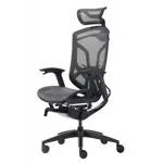 Эргономичное кресло GT Chair Dvary X