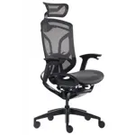Эргономичное кресло GT Chair Dvary X