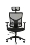 Эргономичное компьютерное кресло Star Office