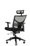 Эргономичное компьютерное кресло Star Office