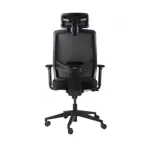Эргономичное кресло GT Chair InFlex Z