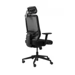 Эргономичное кресло GT Chair InFlex Z