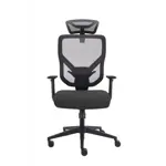 Эргономичное кресло GT Chair VIDA Z