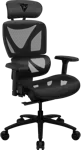 Эргономичное сетчатое кресло ThunderX3 XTC