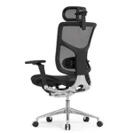 Эргономичное кресло Expert-2 Star Ergo
