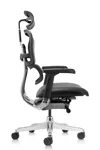 Кресло руководителя Comfort Workspace Ergohuman Elite 2 в кожаной обивке