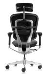 Кресло руководителя Comfort Workspace Ergohuman Elite 2 в кожаной обивке