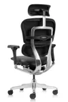 Кресло руководителя Comfort Workspace Ergohuman Elite 2 в кожаной обивке