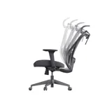 Эргономическое кресло Healthy Chair Healthy Chair Elegant