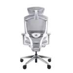 Эргономичное кресло GT Chair Marrit Pro X