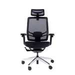 Эргономичное кресло GT Chair InFlex X