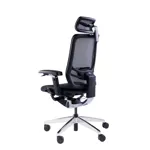 Эргономичное кресло GT Chair InFlex X