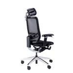 Эргономичное кресло GT Chair InFlex X
