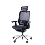 Эргономичное кресло GT Chair InFlex X