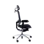 Эргономичное кресло GT Chair InFlex X