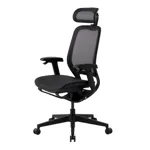 Эргономичное кресло GT Chair NEOSEAT X
