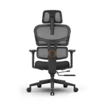 Компьютерное кресло FoxGear  NETZ модель XO