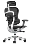Эргономичное кресло Comfort Workspace Ergohuman 2 SE (Special Edition)