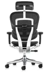 Эргономичное кресло Comfort Workspace Ergohuman 2 SE (Special Edition)