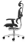 Эргономичное кресло Comfort Workspace Ergohuman Elite 2 ST