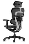 Эргономичное кресло Comfort Workspace Ergohuman Ultra ST