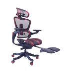 Эргономичное кресло HINOMI PRO V2 GM