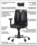 Ортопедическое офисное кресло Executive Chair DD-150