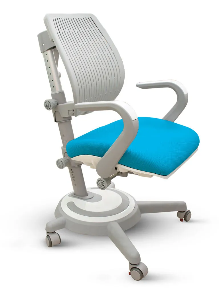 Ортопедическое детское кресло Mealux Ergoback